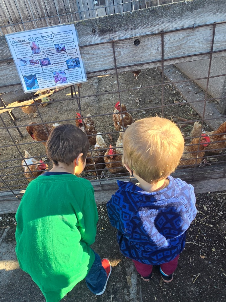 Preschool field trip