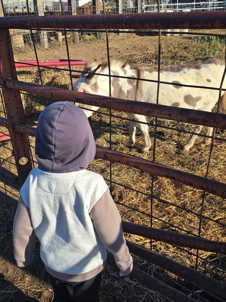 Preschool field trip