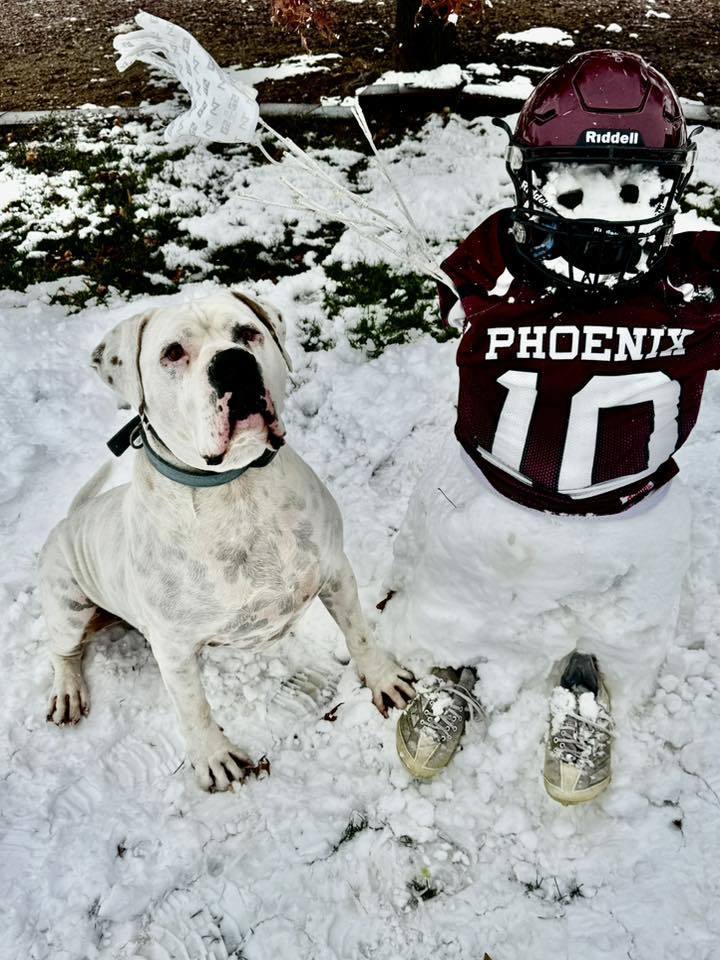1 dog with phoenix snowman
