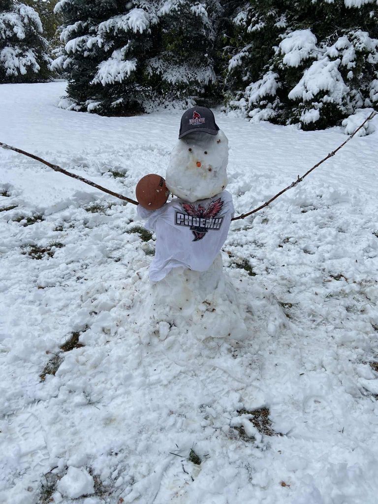 Phoenix Snowman