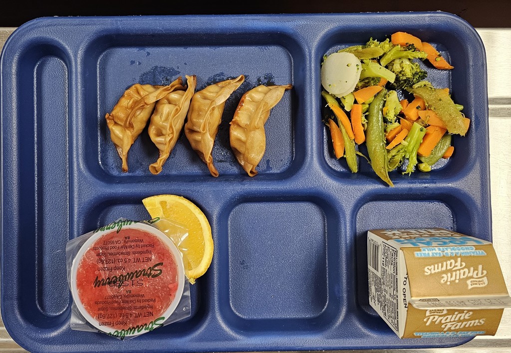 Teriyaki Potstickers