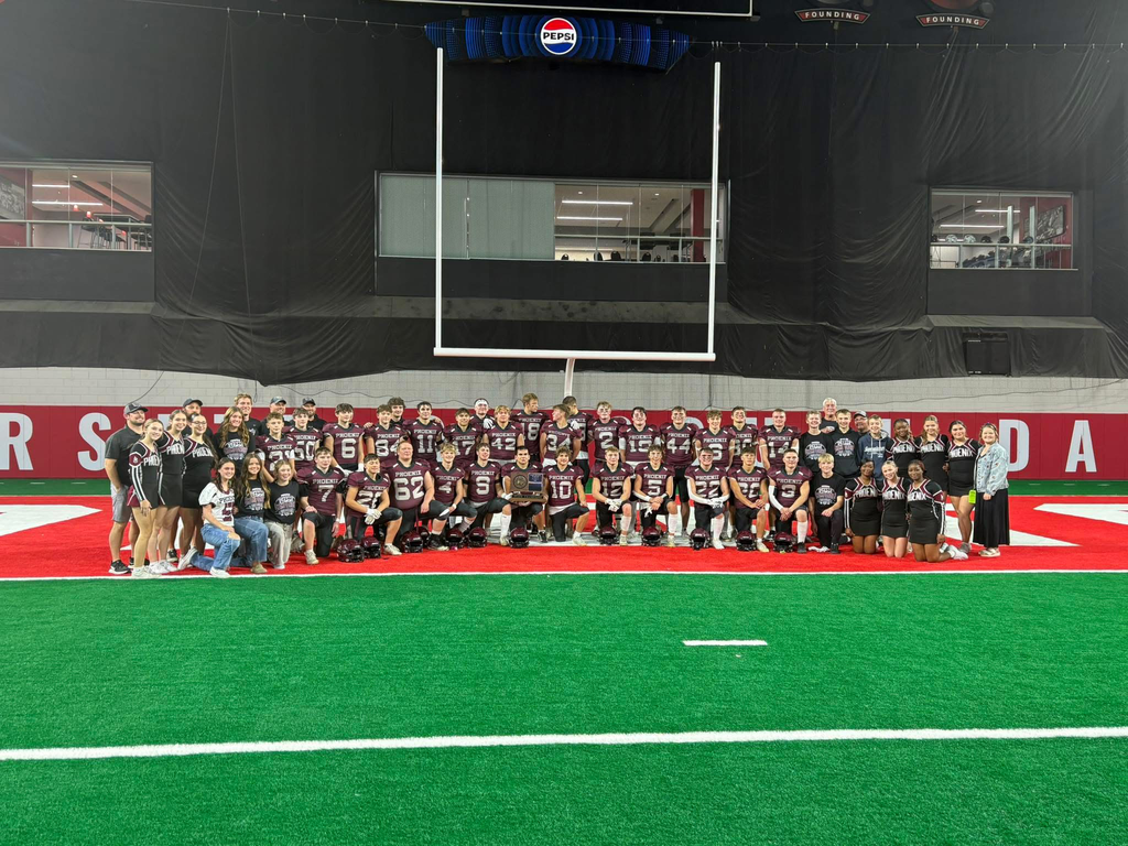 Phoenix Football team at State Dome