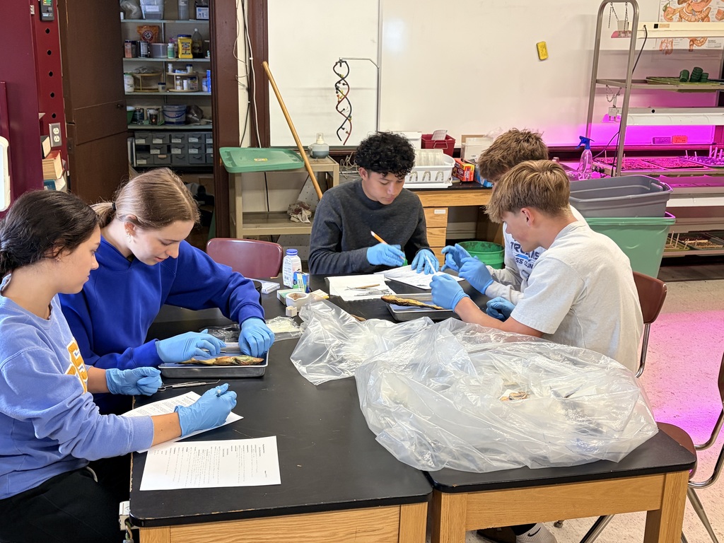 Biology 