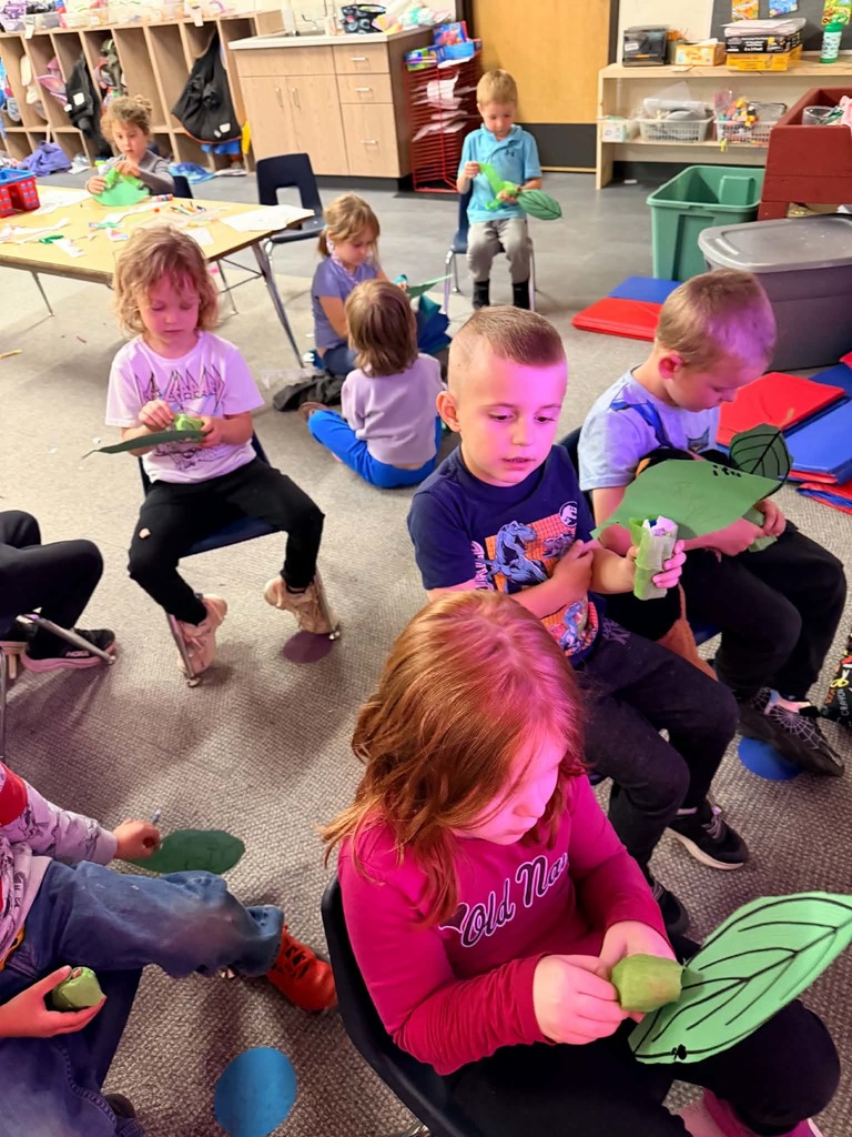 Preschool - Cycle of a butterfly