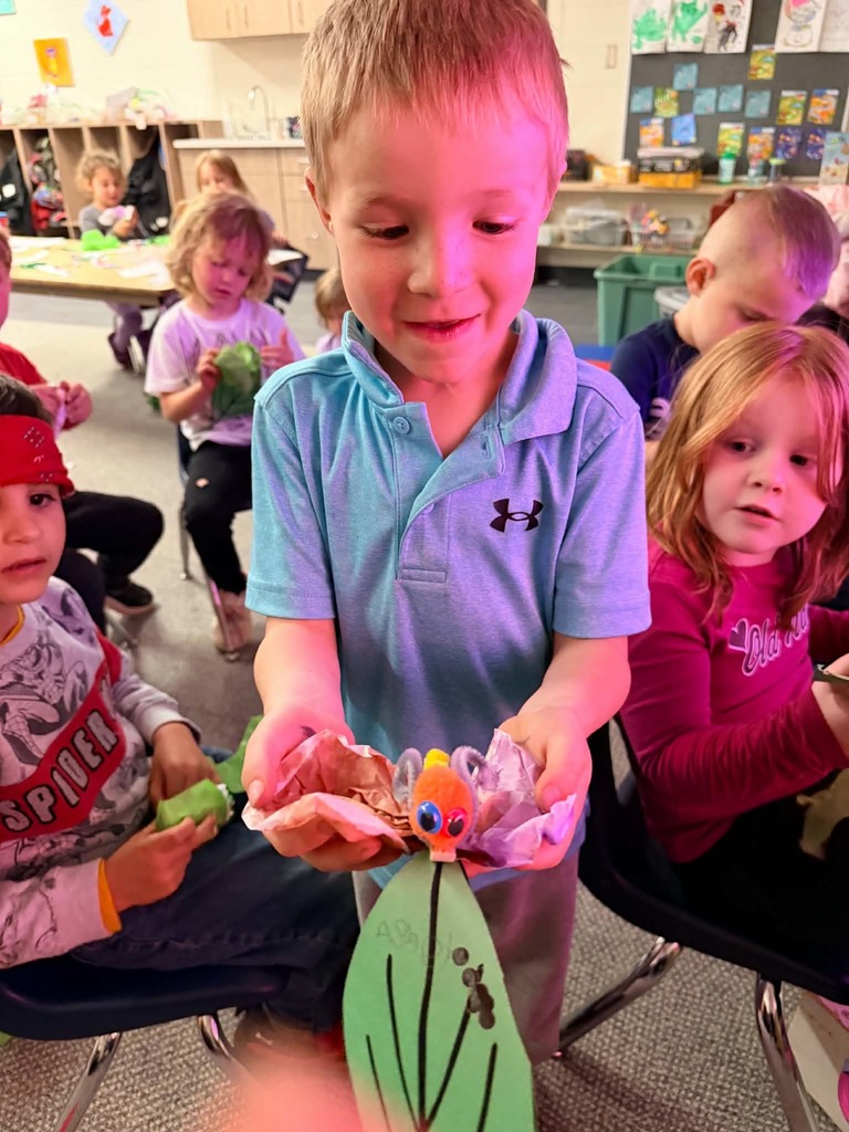 Preschool - Cycle of a butterfly