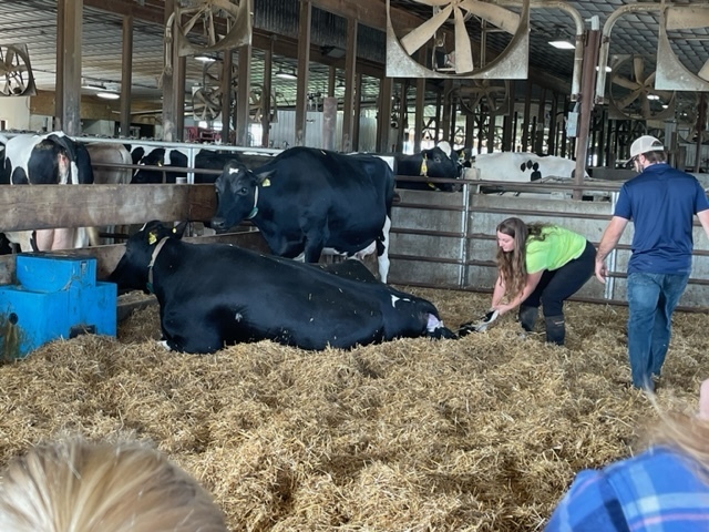 Fourth grade farm trip.