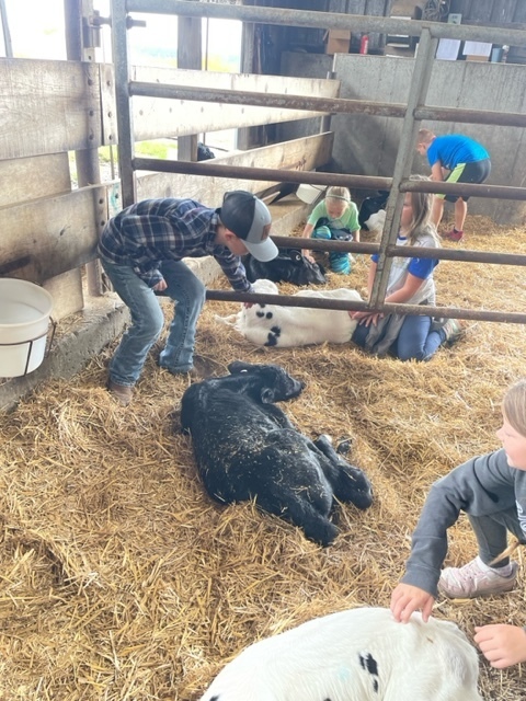 Fourth grade farm trip.