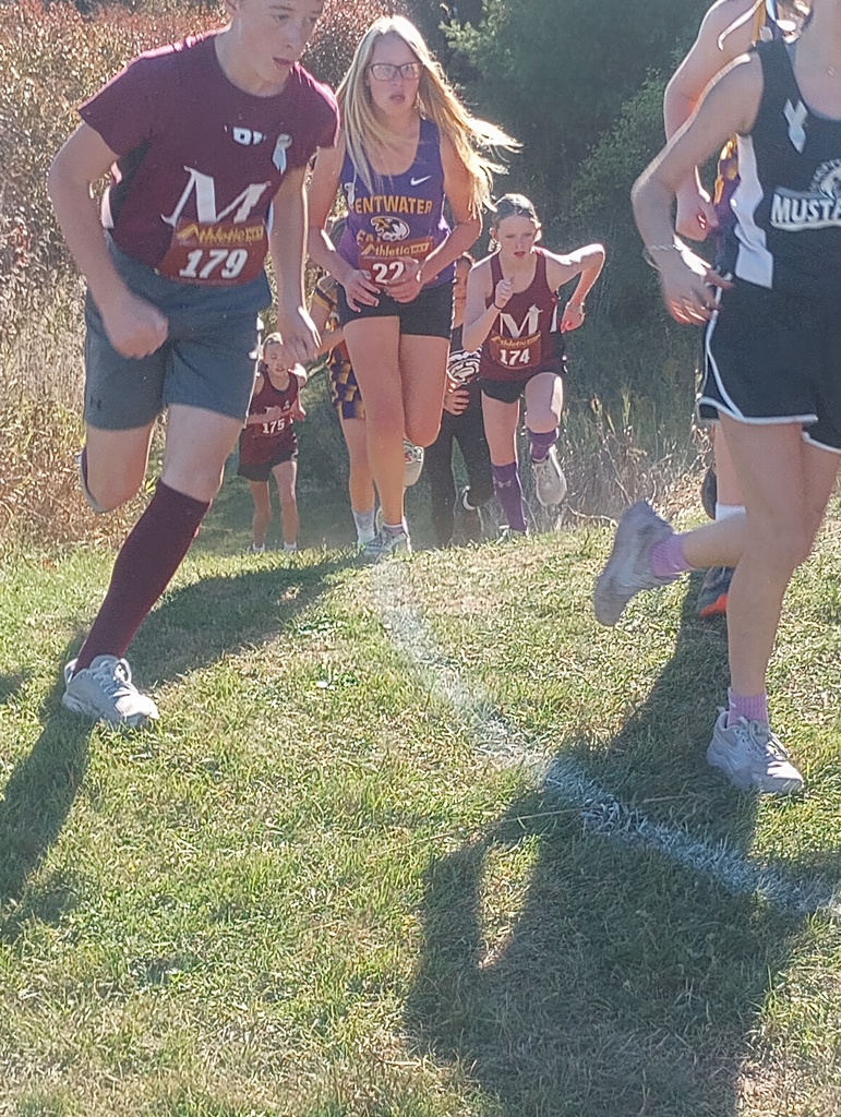 Cross Country Meet