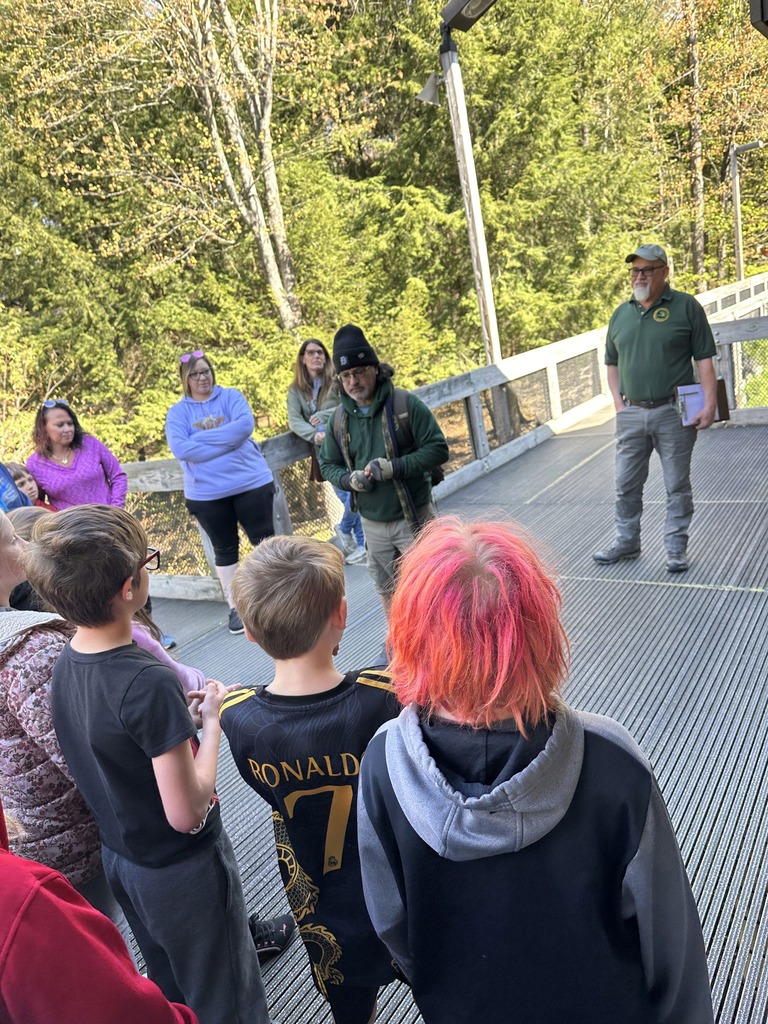Pine Field Trip