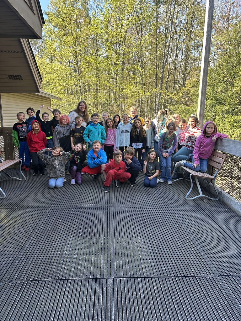 Pine Field Trip