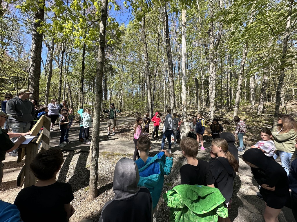 Pine Field Trip