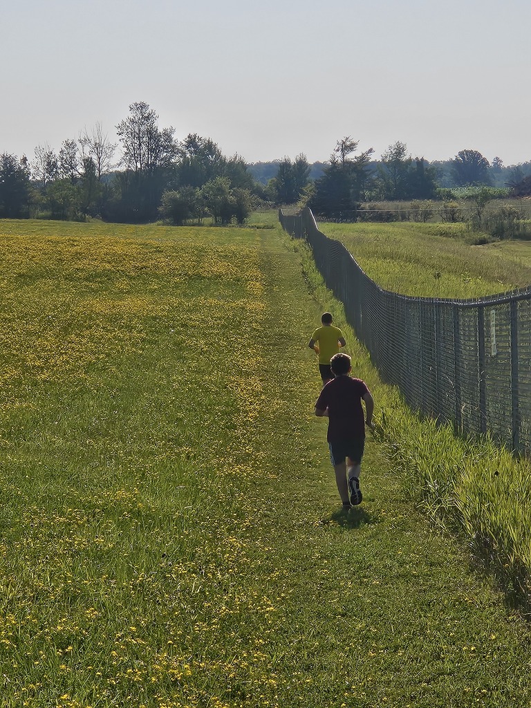 cross country camp