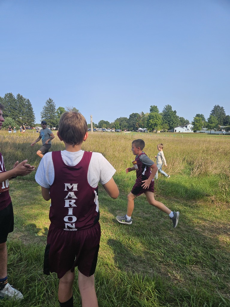 Picture of cross country runners
