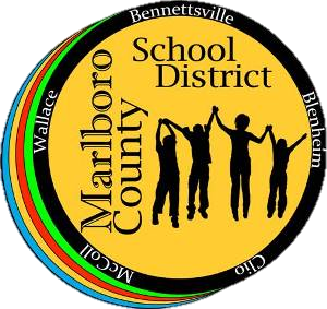 MCSD Logo