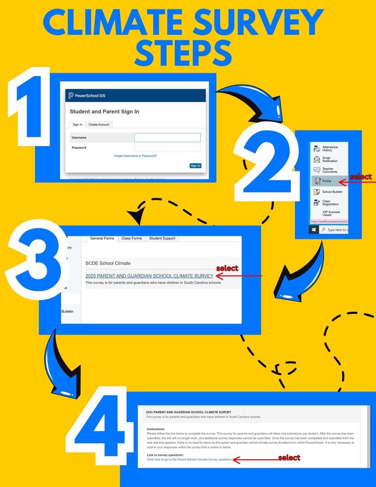 Survey steps to follow