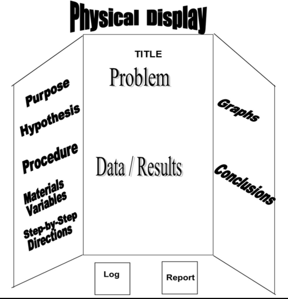Science Fair Projects