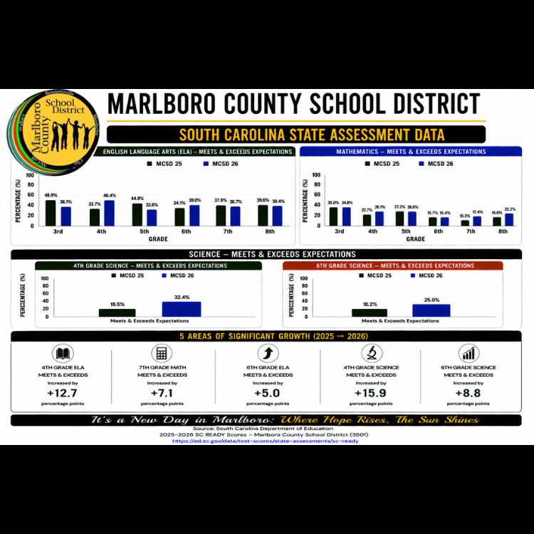 State assessment data