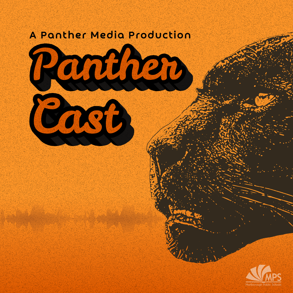 Orange background with bold text reading "Panther Cast" above a black panther's face, featuring a close-up with a dramatic effect.