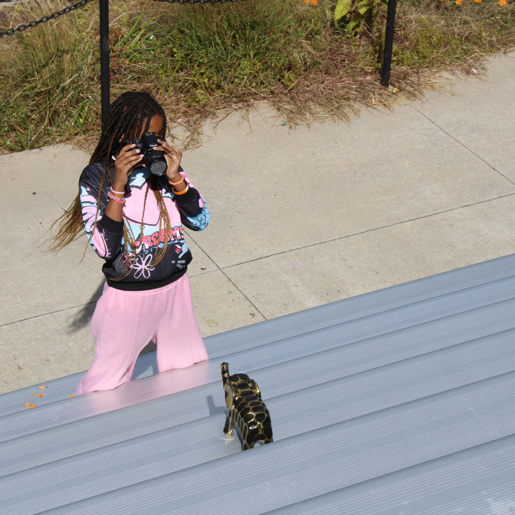Person with camera near steps, looking downward. Background features a grassy area with plants and metal railings.