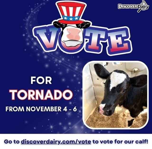Vote for Tornado