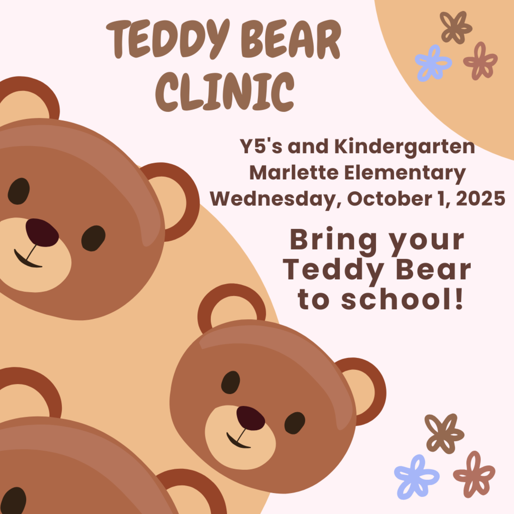 Teddy Bear Clinic