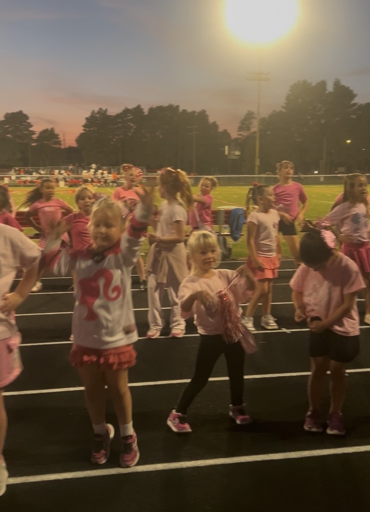 Cheer Clinic