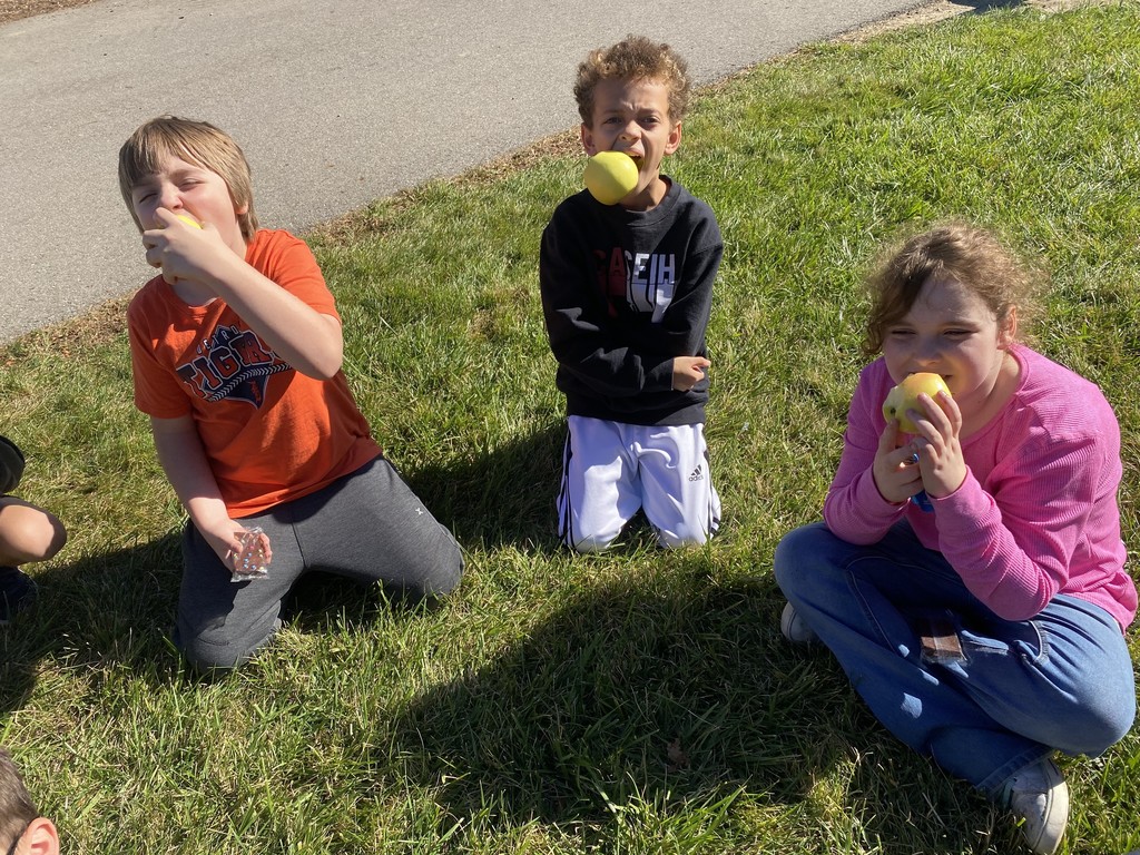 Apple Crunch Day