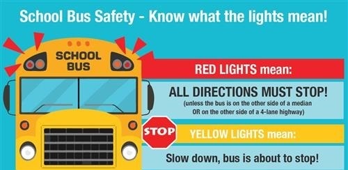 Bus safety
