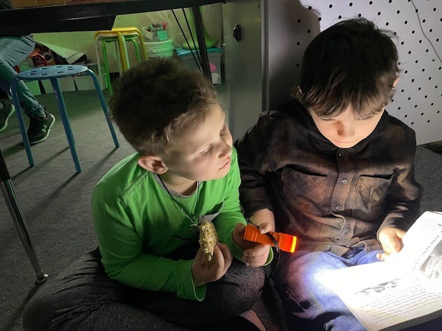 Flashlight reading