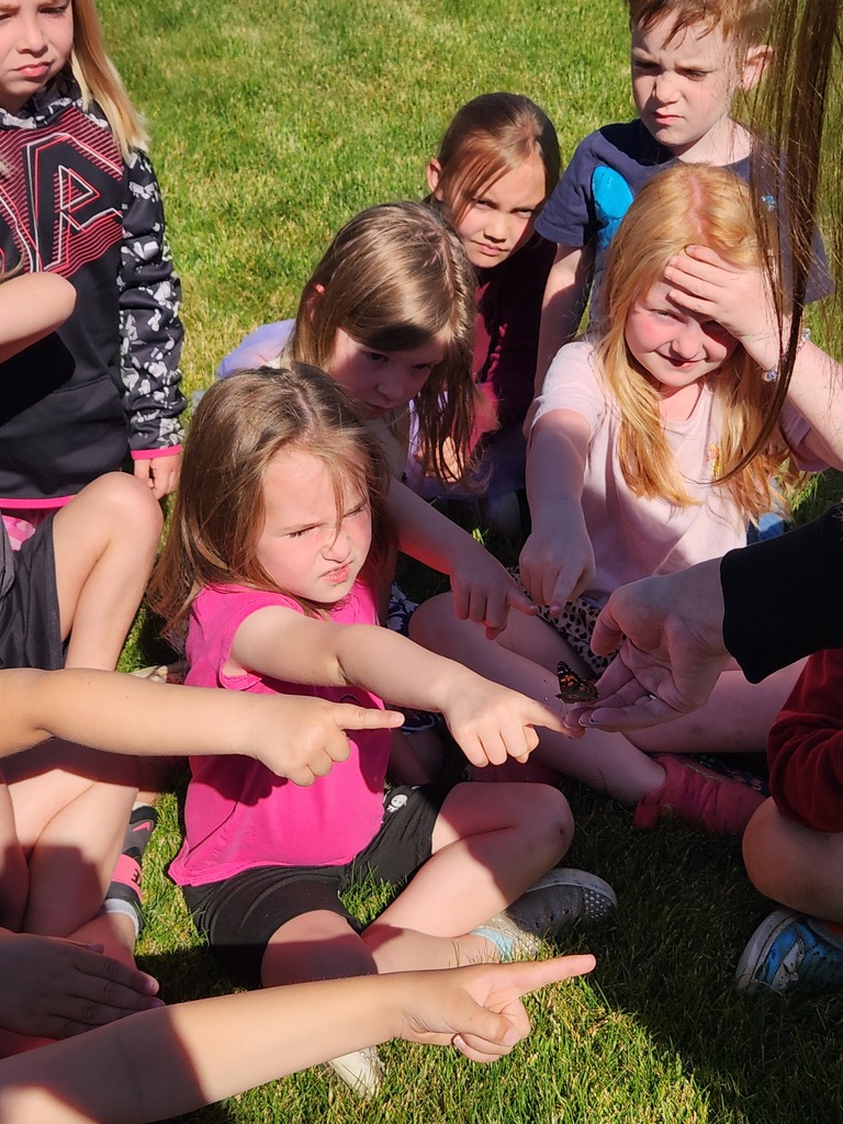 Butterfly release