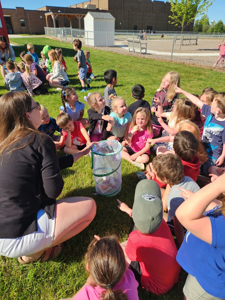 Butterfly release