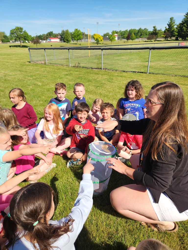 Butterfly release