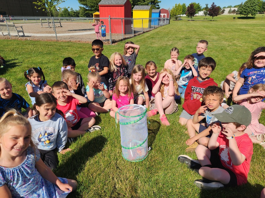 Butterfly release