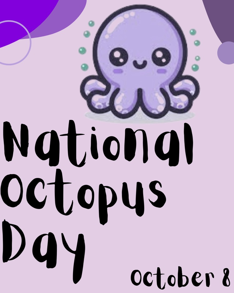 octopus