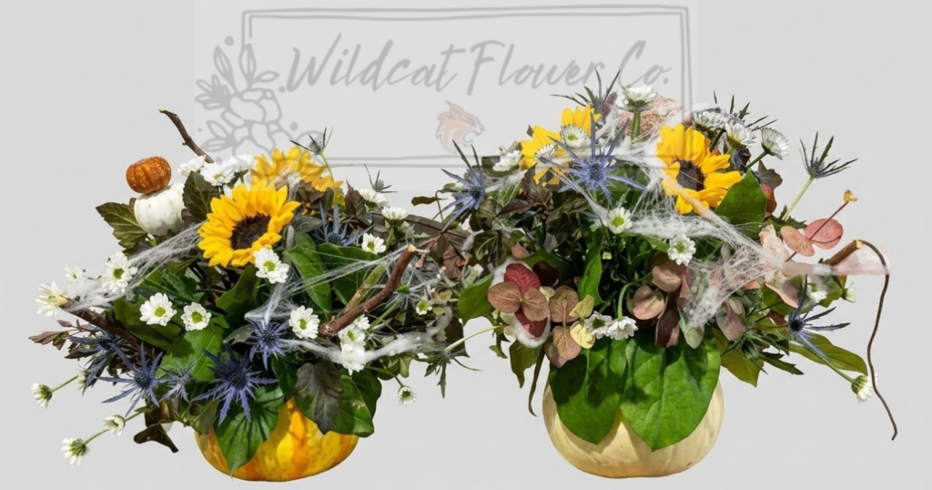 October arrangements of the month for sale for $20 each.