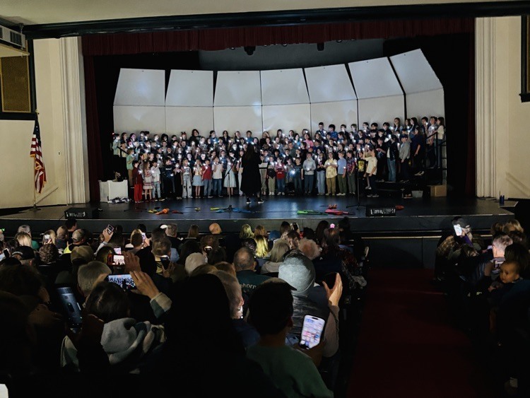 students singing and playing instruments at the concert