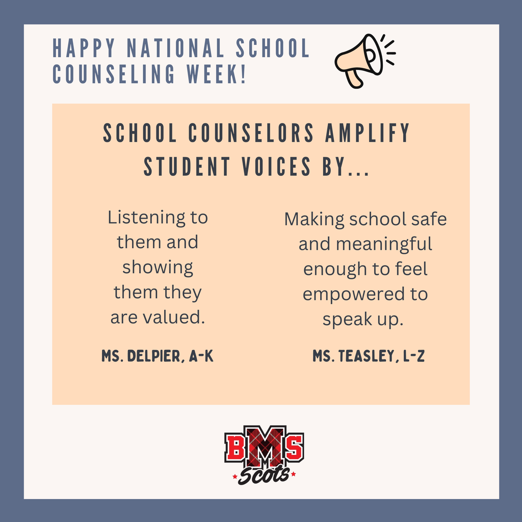 A colorful image explaining how school counselors amplify student success