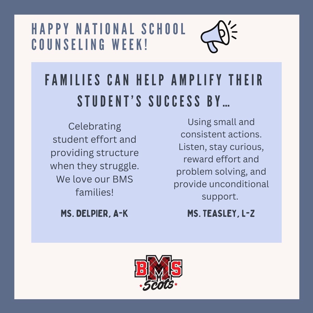 A colorful image explaining how school counselors amplify student success