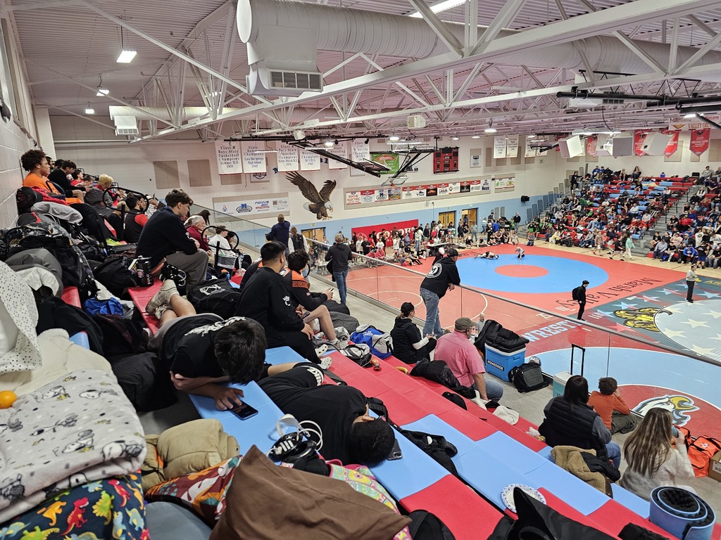 wrestling