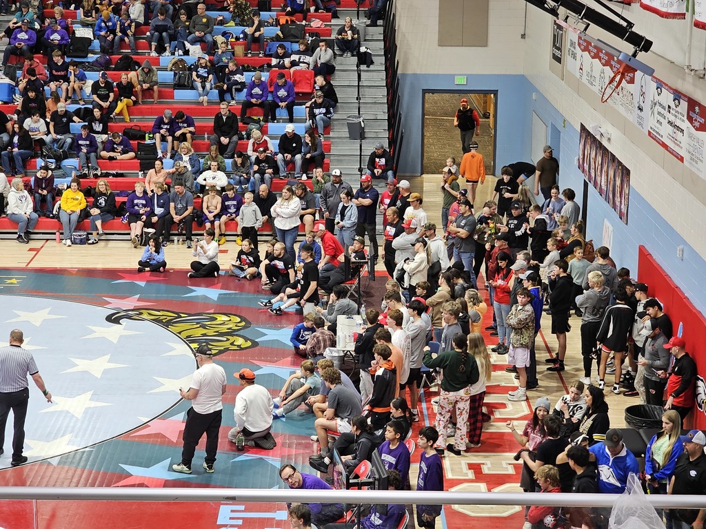 wrestling