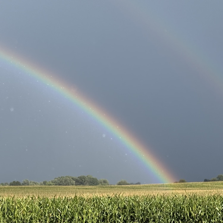 rainbow