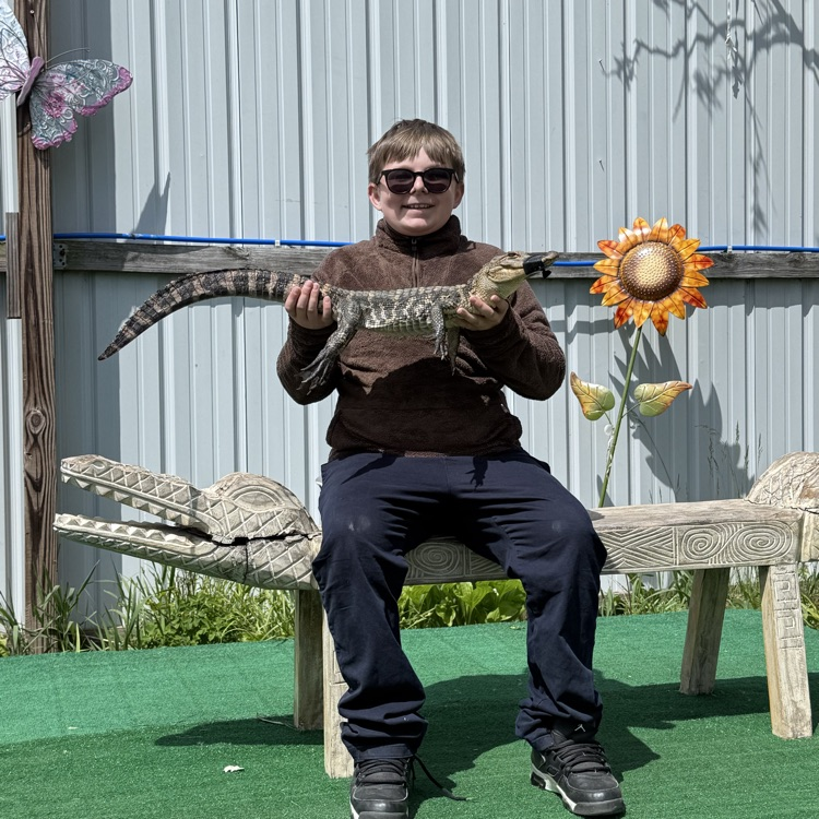 alligator sanctuary