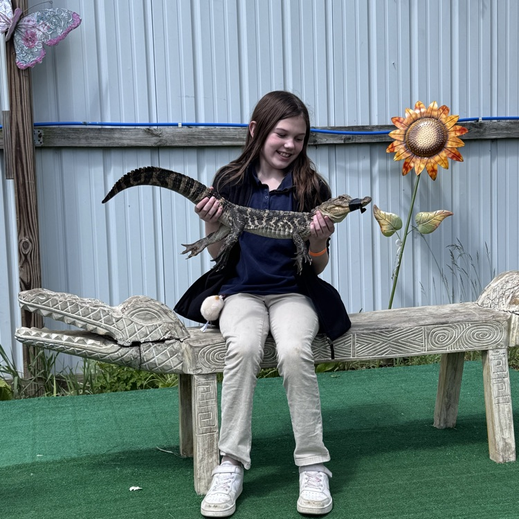 alligator sanctuary