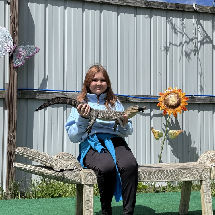 alligator sanctuary