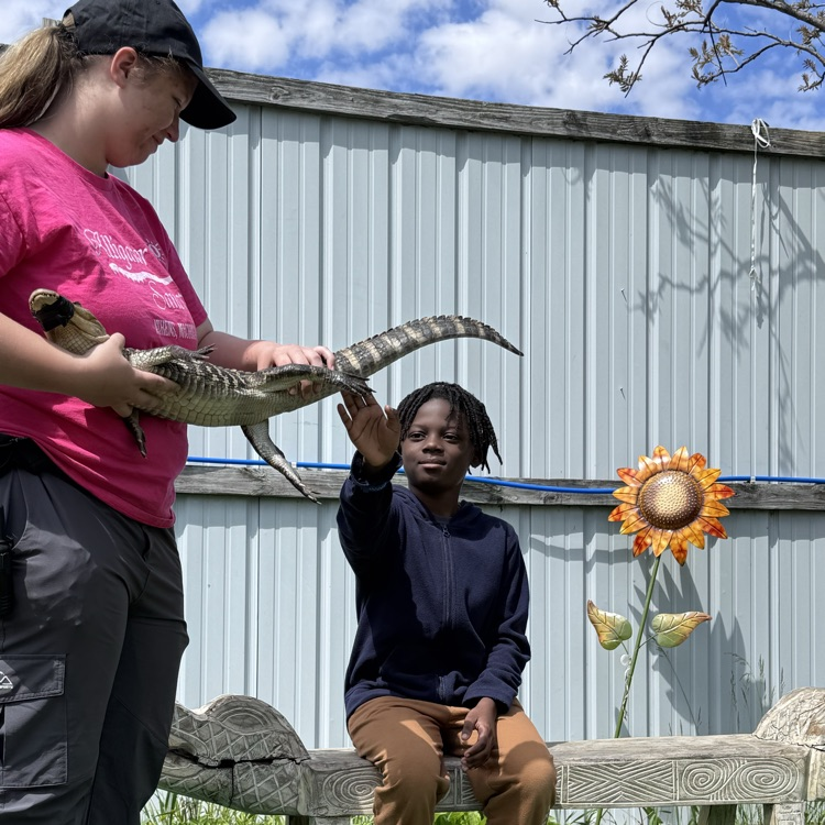 alligator sanctuary