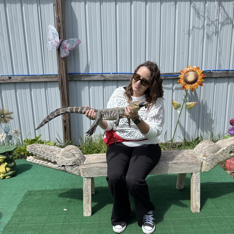 alligator sanctuary