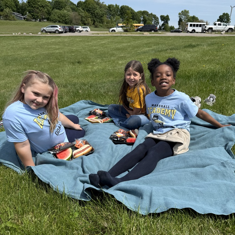 picnic