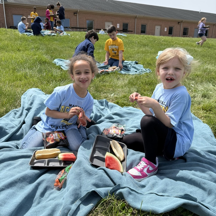 picnic