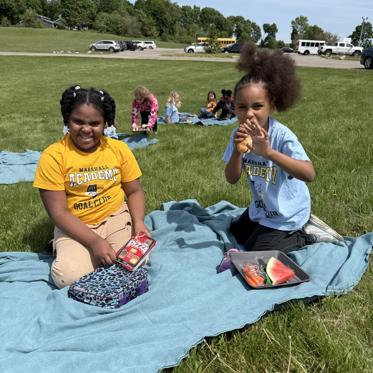 picnic