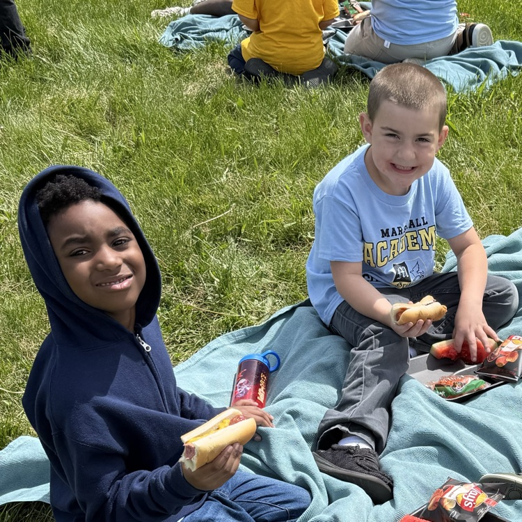 picnic